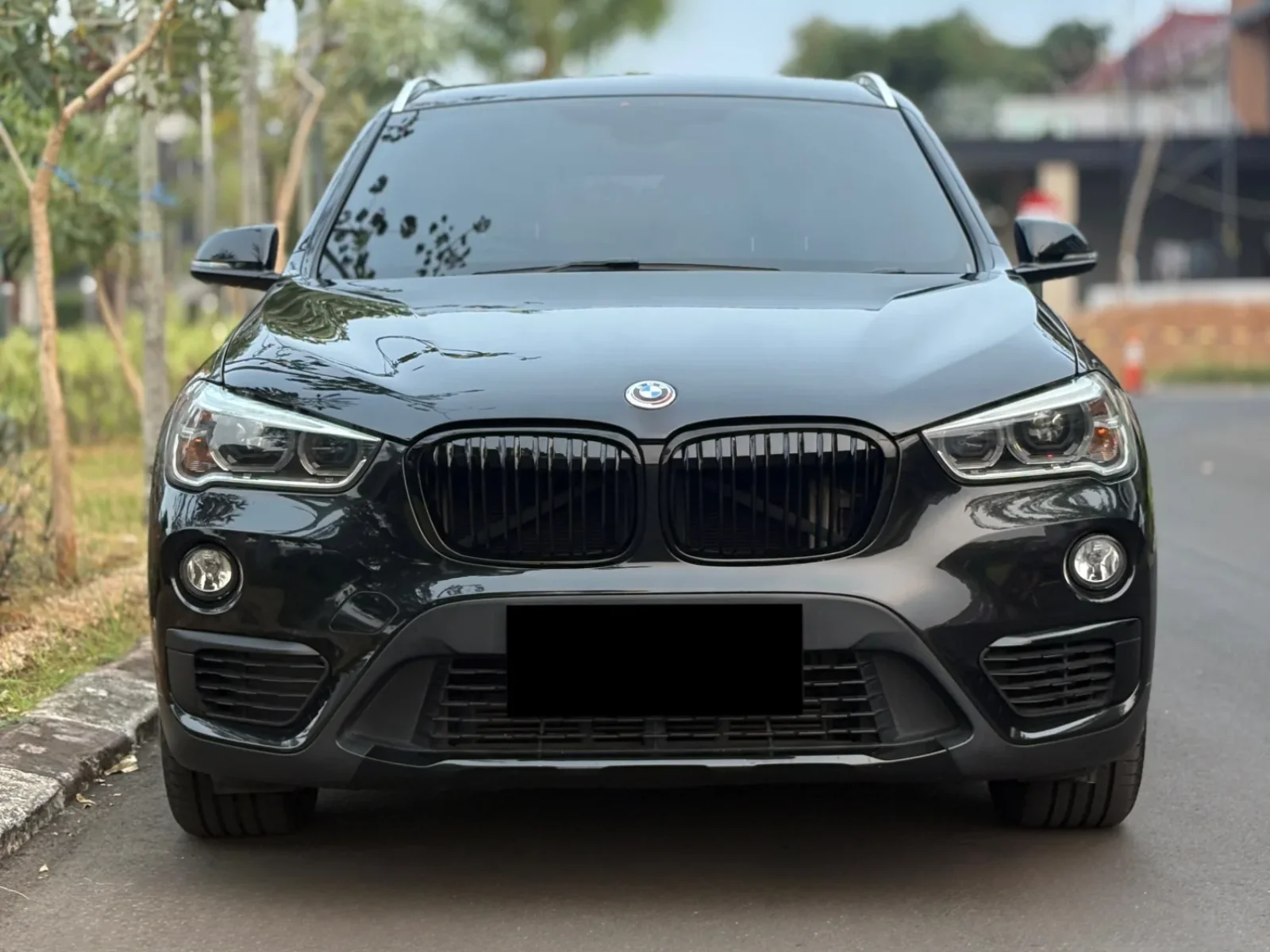BMW X1 PANO 2018