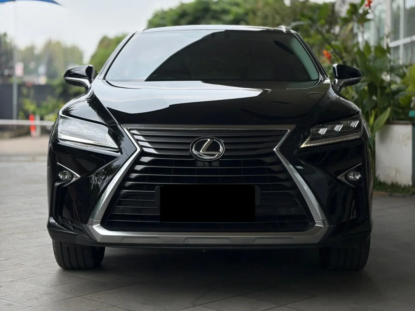 LEXUS RX300 LUXURY 2018