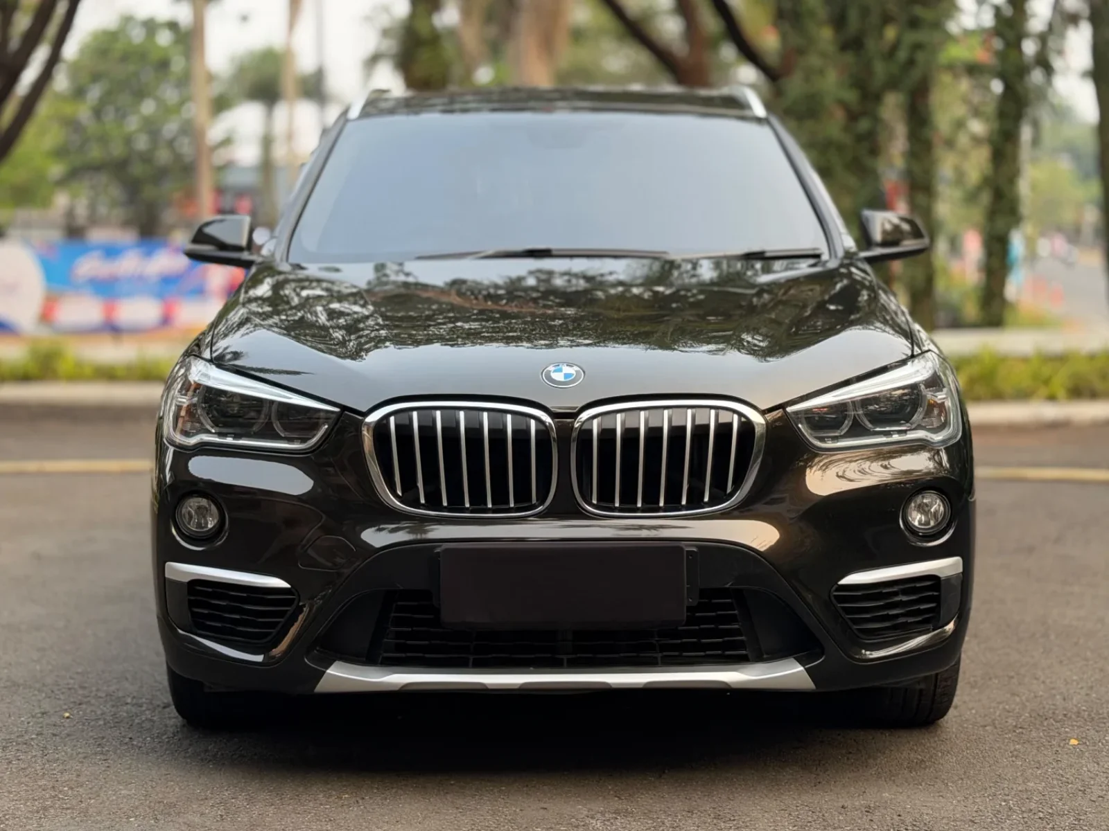BMW X1 PANO 2017