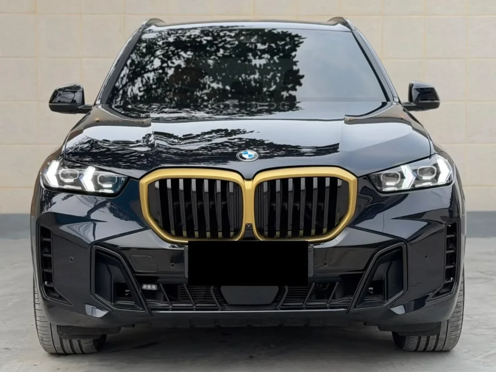 BMW X5 2023